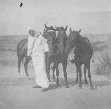 Romanian cavalryman in desert 